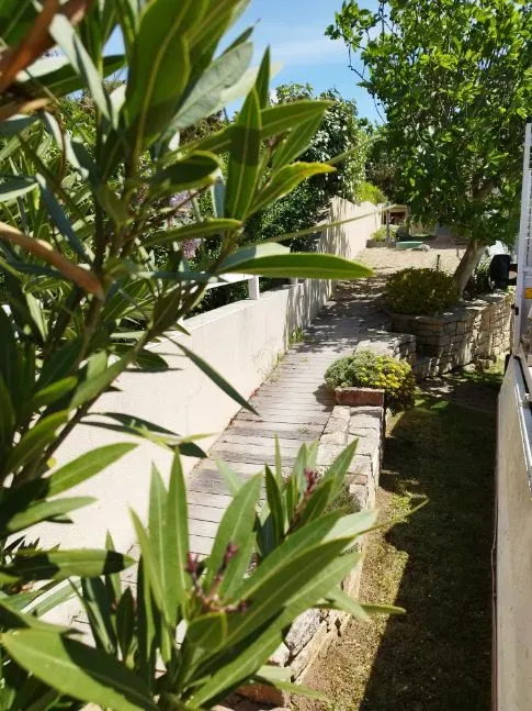 pavage et dallage (4)