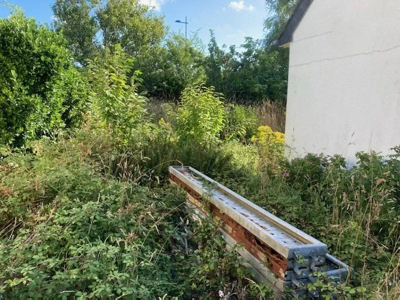 entretien jardin (2)