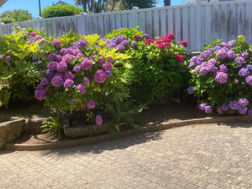 entretien jardin (11)