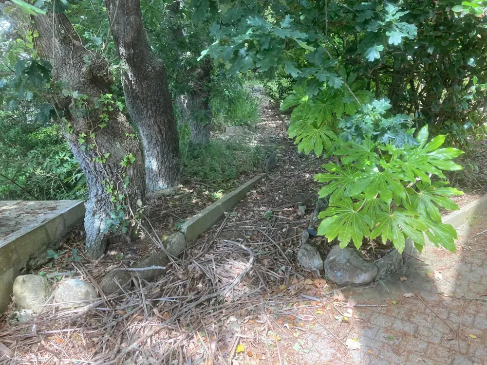 entretien jardin (12)